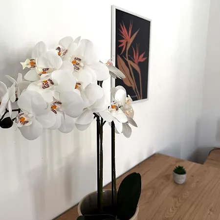 Appartement Chic&Lumineux / Évreux Centre / WiFi Évreux