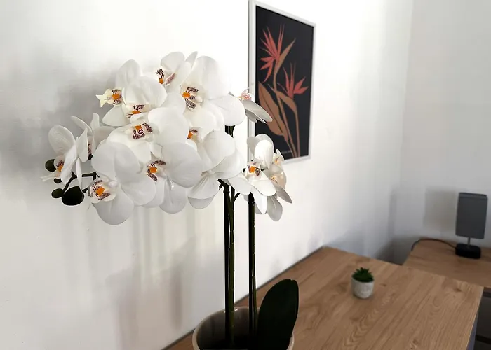 Appartamento Chic&Lumineux / Évreux Centre / WiFi Évreux